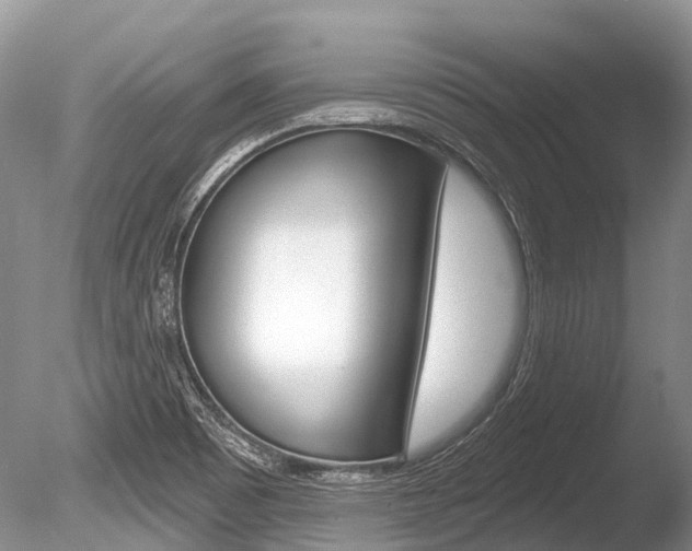 X0000086301465200703300915