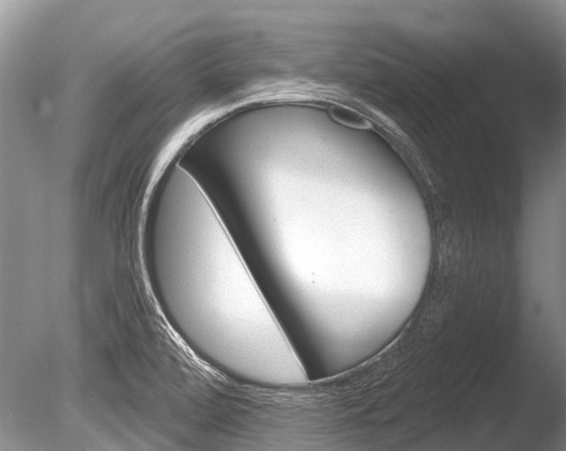 X0000086301472200703300915
