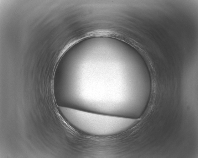 X0000086301473200703300915