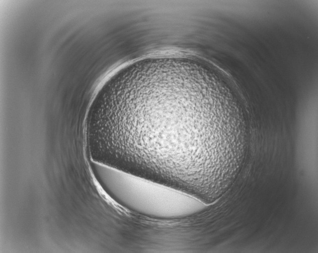X0000086301479200703300915