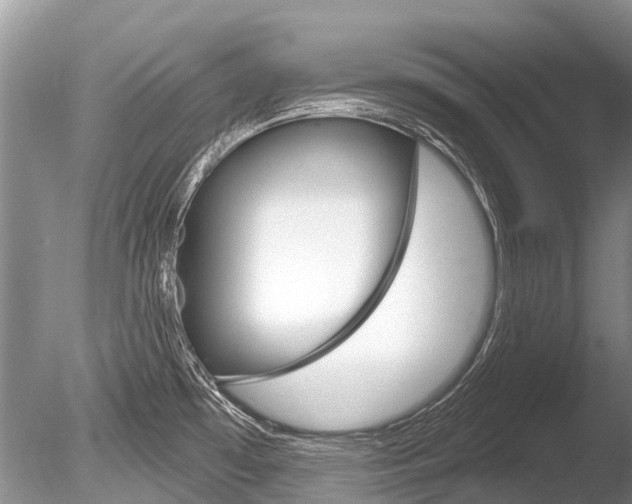 X0000086301481200703300915