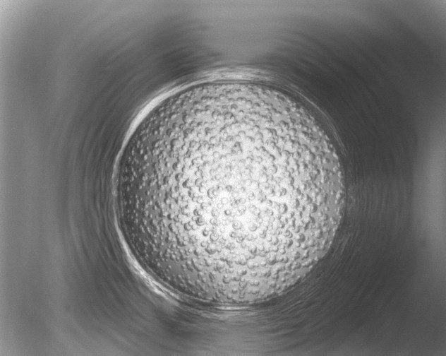 X0000086301483200703300915