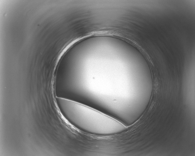 X0000086301484200703300915