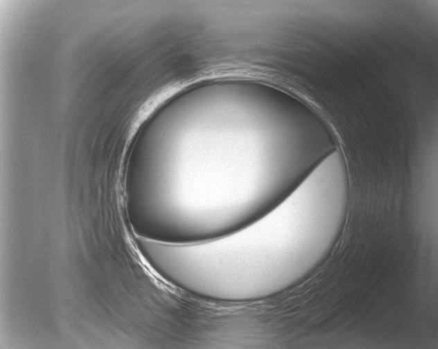 X0000086301485200703300915