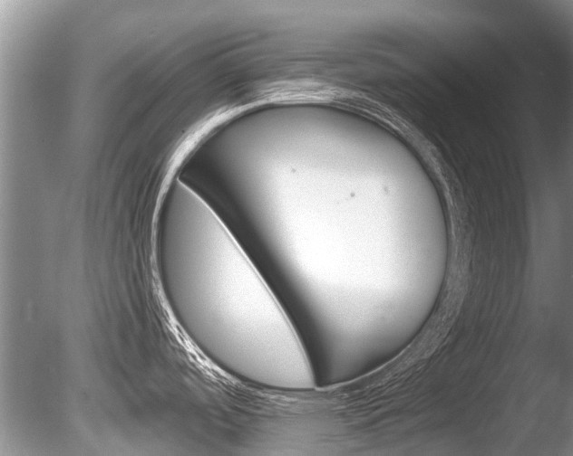 X0000086301488200703300915