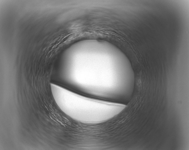 X0000086301490200703300914