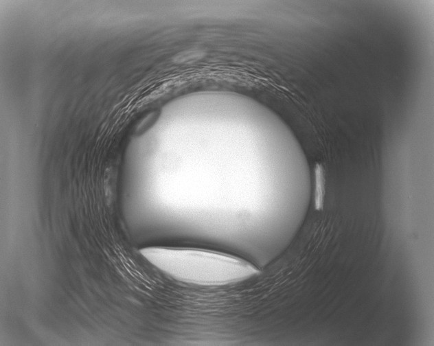 X0000086301491200703300914