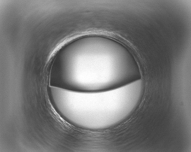 X0000086301504200703300914