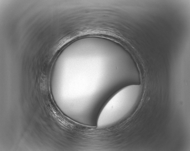 X0000086301505200703300914