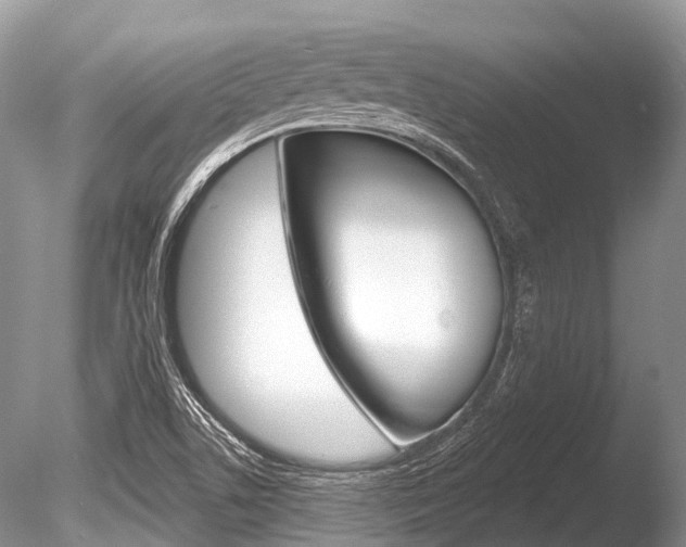 X0000086301506200703300914