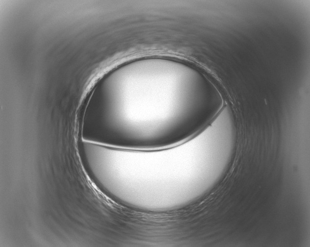 X0000086301508200703300914