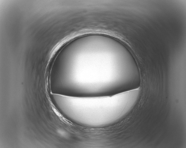 X0000086301511200703300914