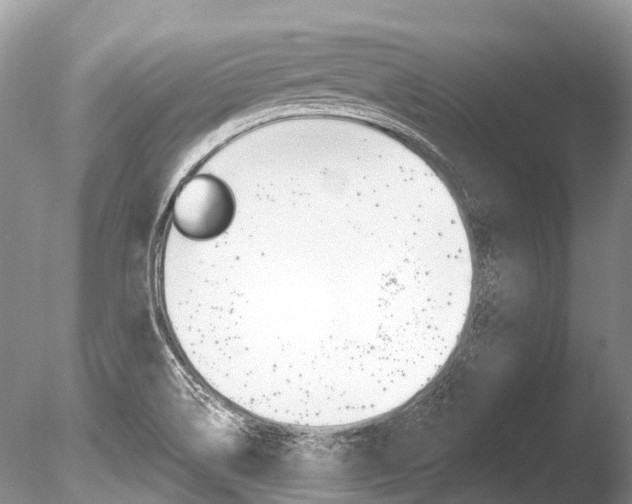 X0000086301514200703300915