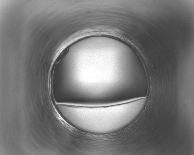 X0000086301516200703300915