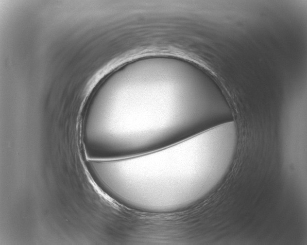 X0000086301519200703300915
