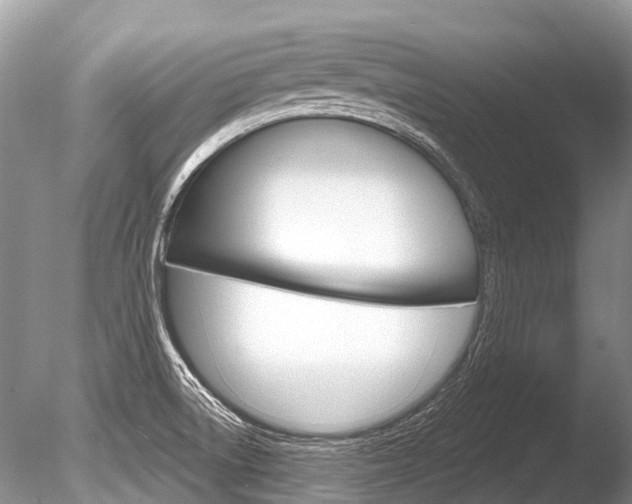 X0000086301522200703300915