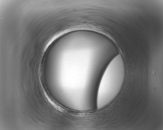 X0000086301523200703300915