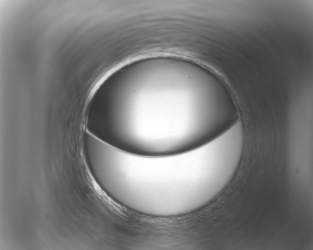 X0000086301524200703300915