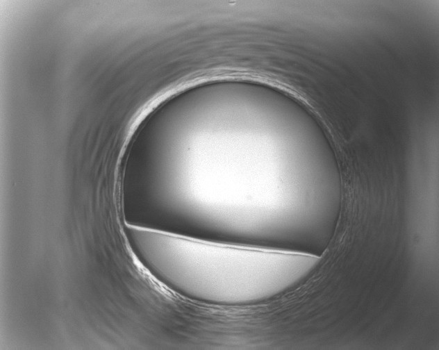 X0000086301527200703300915