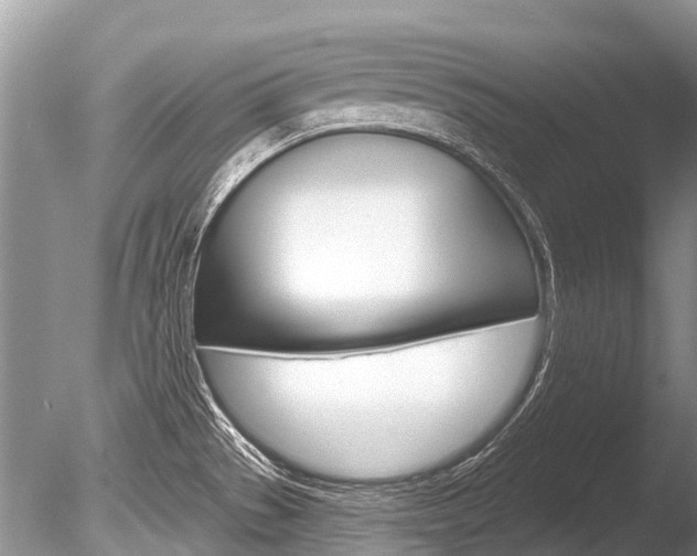 X0000086301529200703300915