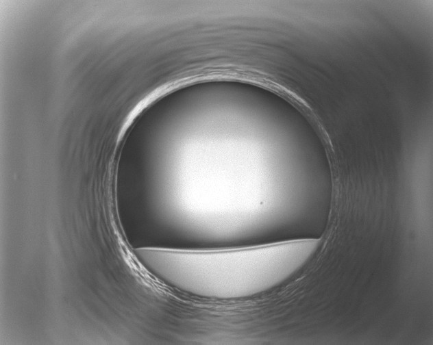 X0000086301530200703300915
