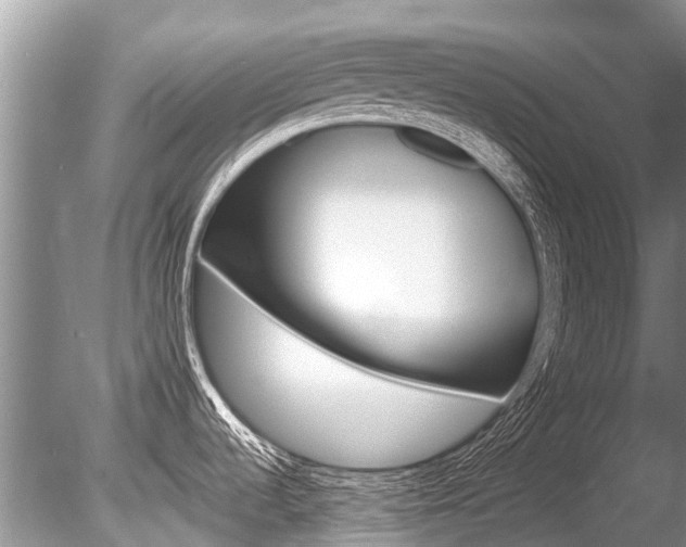 X0000086301536200703300915