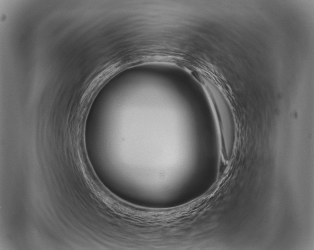 X0000086300001200703301214