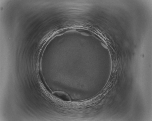 X0000086300002200703301214