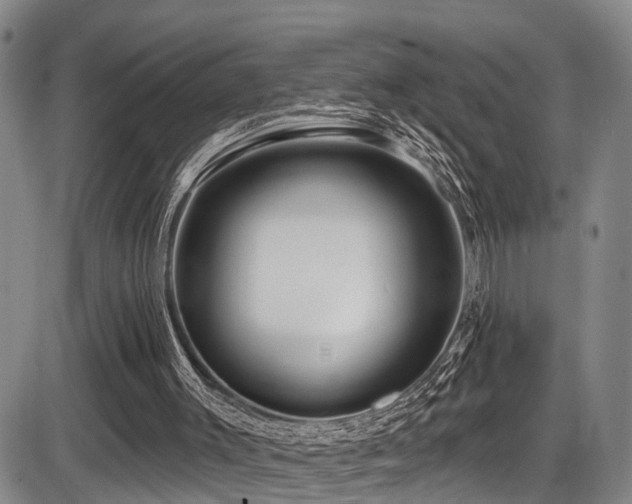 X0000086300003200703301214