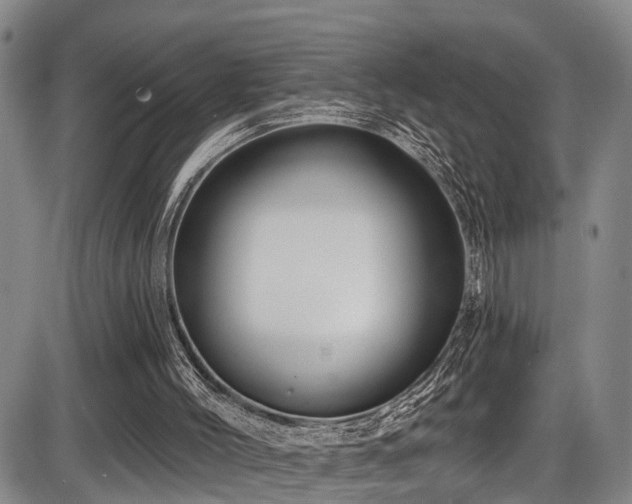 X0000086300004200703301214