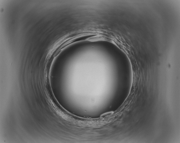 X0000086300005200703301214