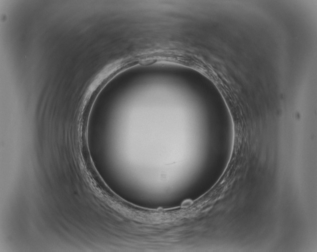 X0000086300006200703301214