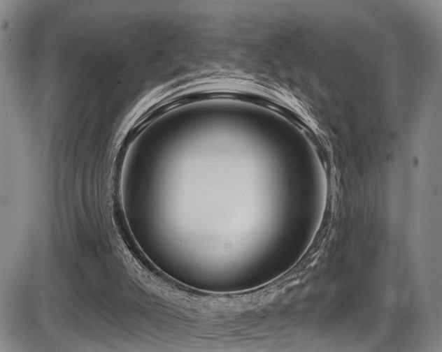 X0000086300007200703301214