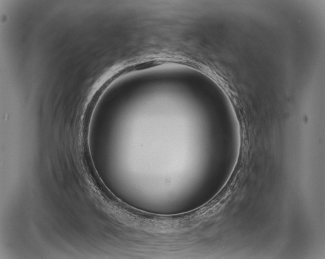 X0000086300008200703301214