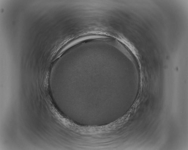 X0000086300009200703301214