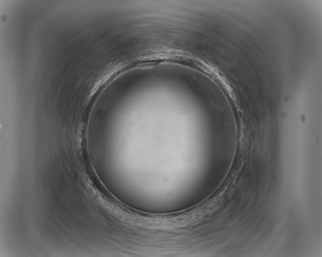 X0000086300010200703301214