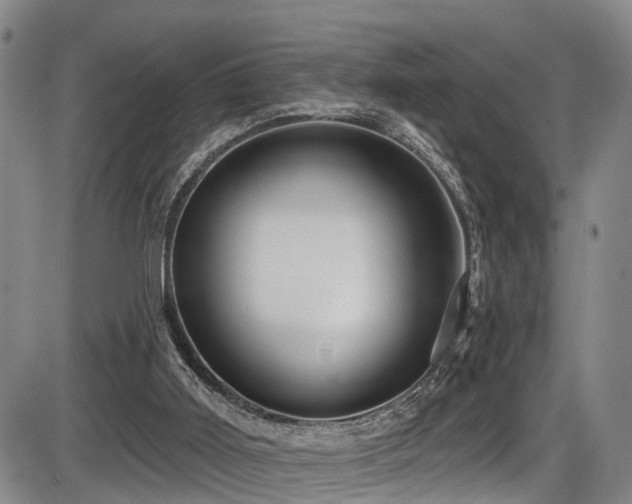 X0000086300011200703301214