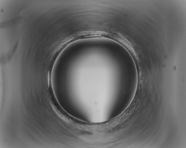 X0000086300013200703301214