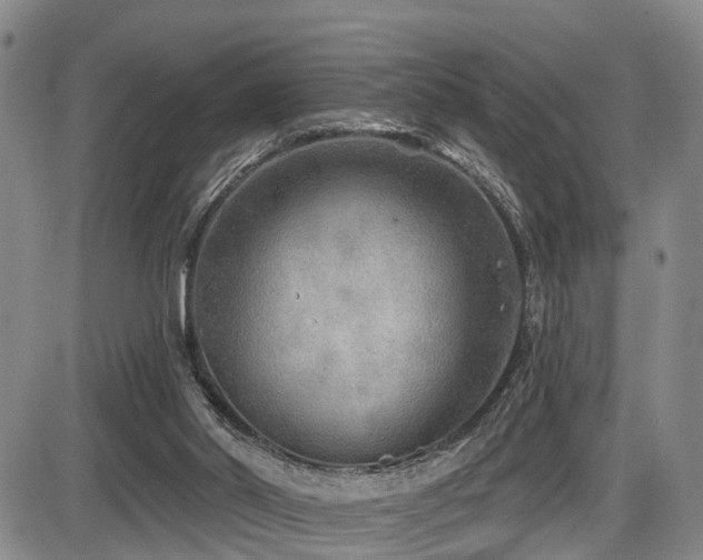 X0000086300014200703301214