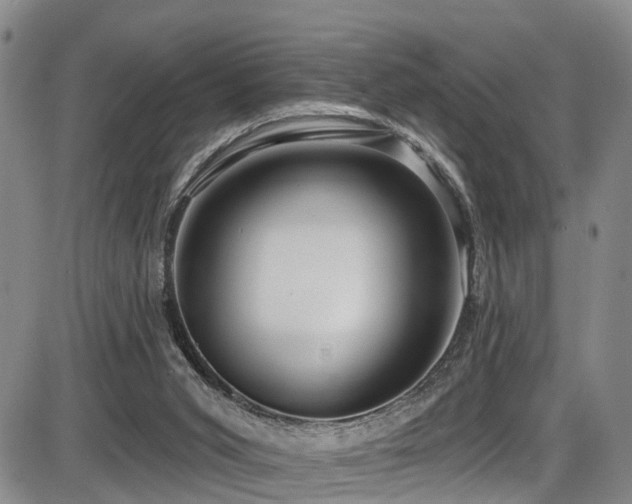 X0000086300015200703301214