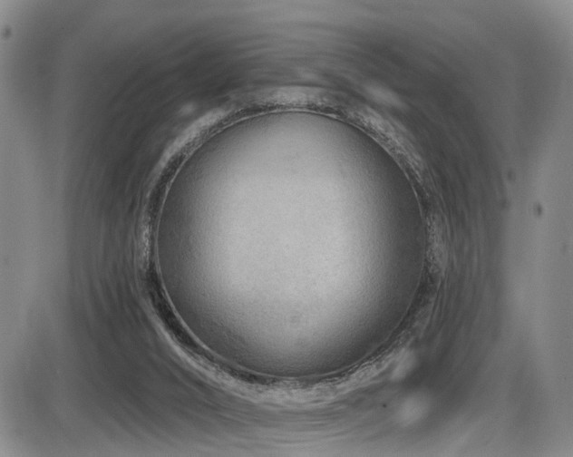 X0000086300016200703301214