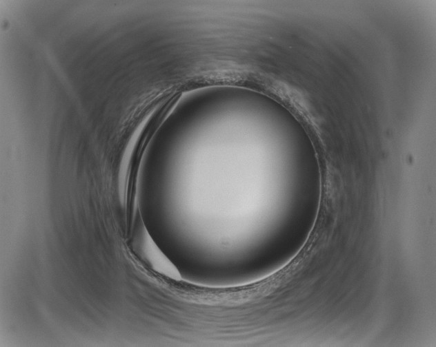 X0000086300017200703301214