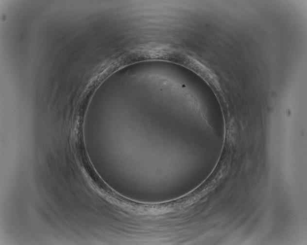 X0000086300018200703301214