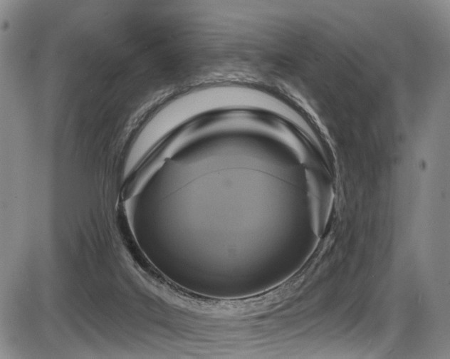 X0000086300019200703301214