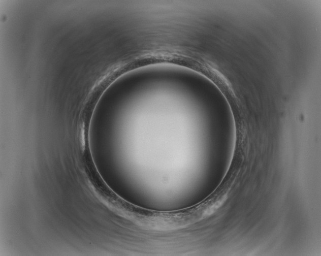 X0000086300020200703301214