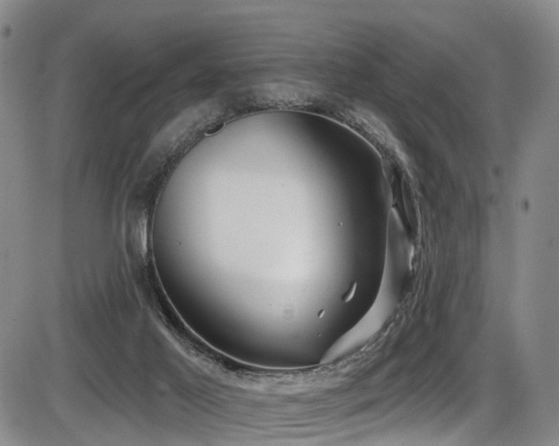 X0000086300021200703301214