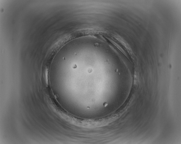 X0000086300022200703301214