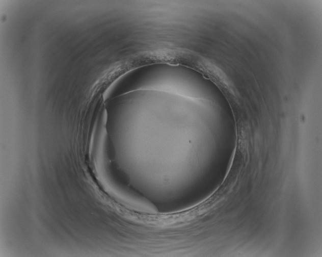 X0000086300023200703301214