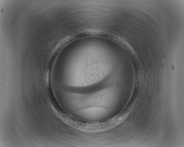 X0000086300024200703301214