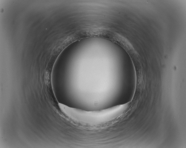 X0000086300025200703301214